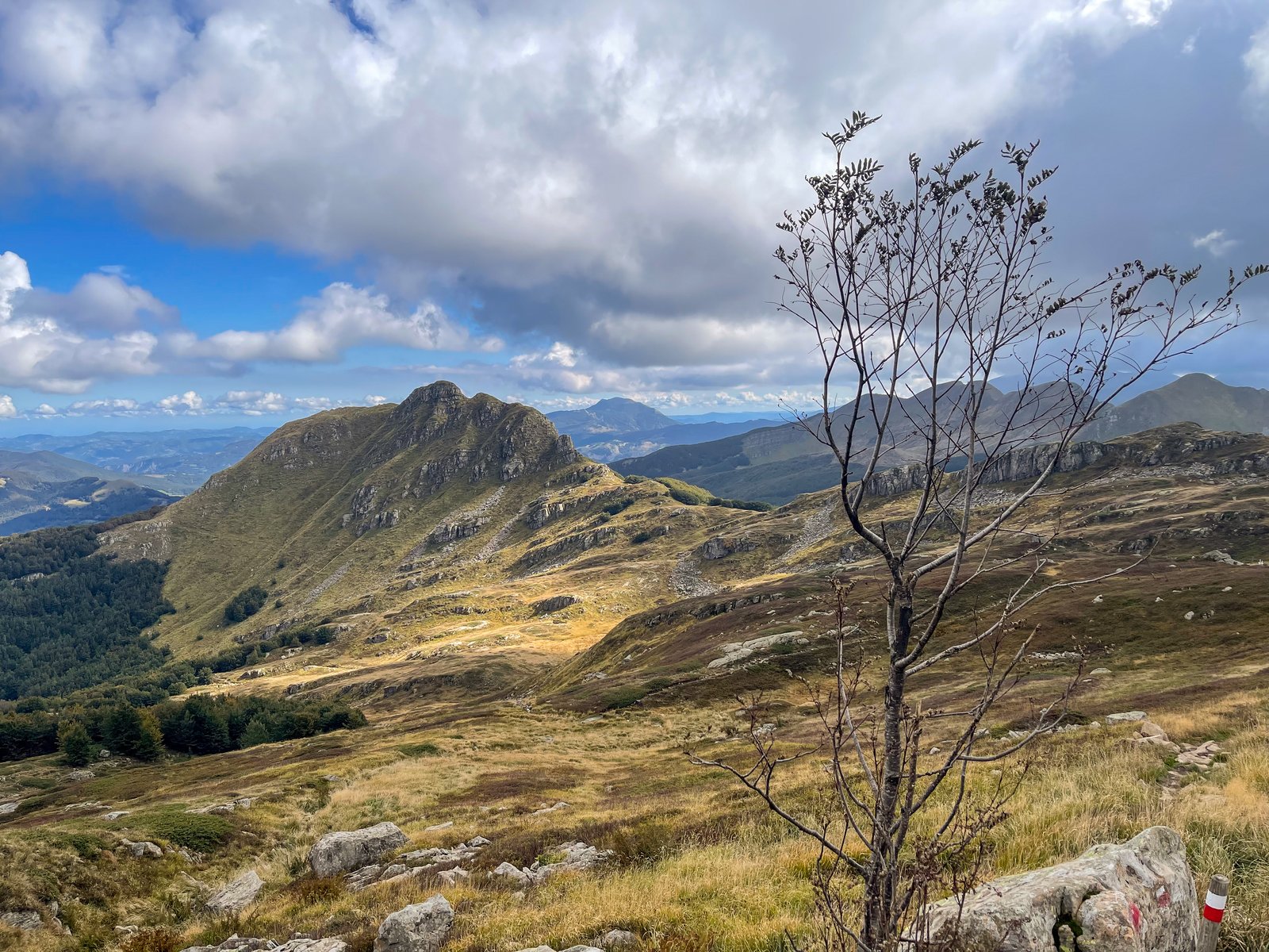 Il crinale dell'Appennino Tosco-Emiliano con praterie d'altitudine e affioramenti rocciosi
